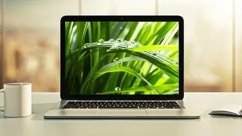 Spring Boot 4, Spring 7 & Hibernate for Beginners