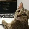. RusUdemy. Udemy как купить. Udemy как оплатить российской картой. Как оплатить Udemy