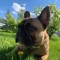 серго RusUdemy. Udemy как купить. Udemy как оплатить российской картой. Как оплатить Udemy